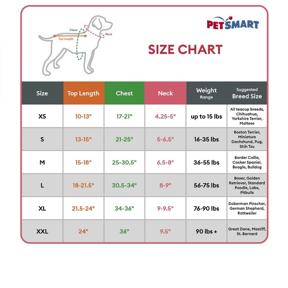 Top Paw 🐾 Doggie Tank “Camp Counselor “ - Picture 3 of 3
